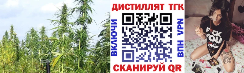Купить  Гусев  Дистиллят ТГК гашишное масло 
